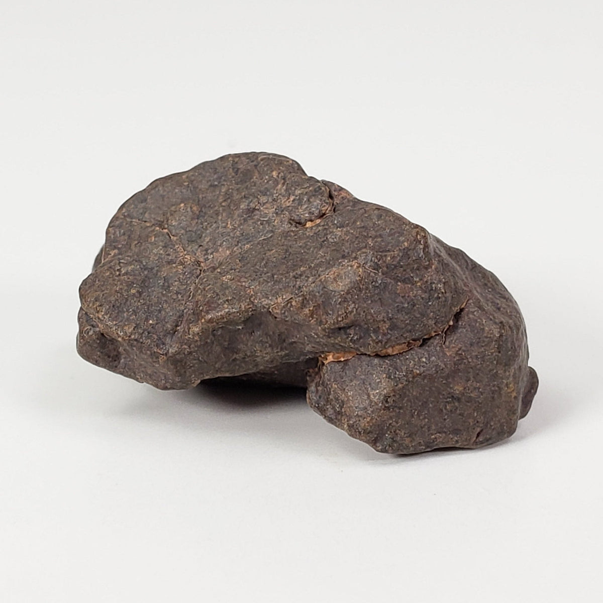  NWA 4293 Meteorite | 9.5 Grams | Individual | H6 Chondrite | SO24 5