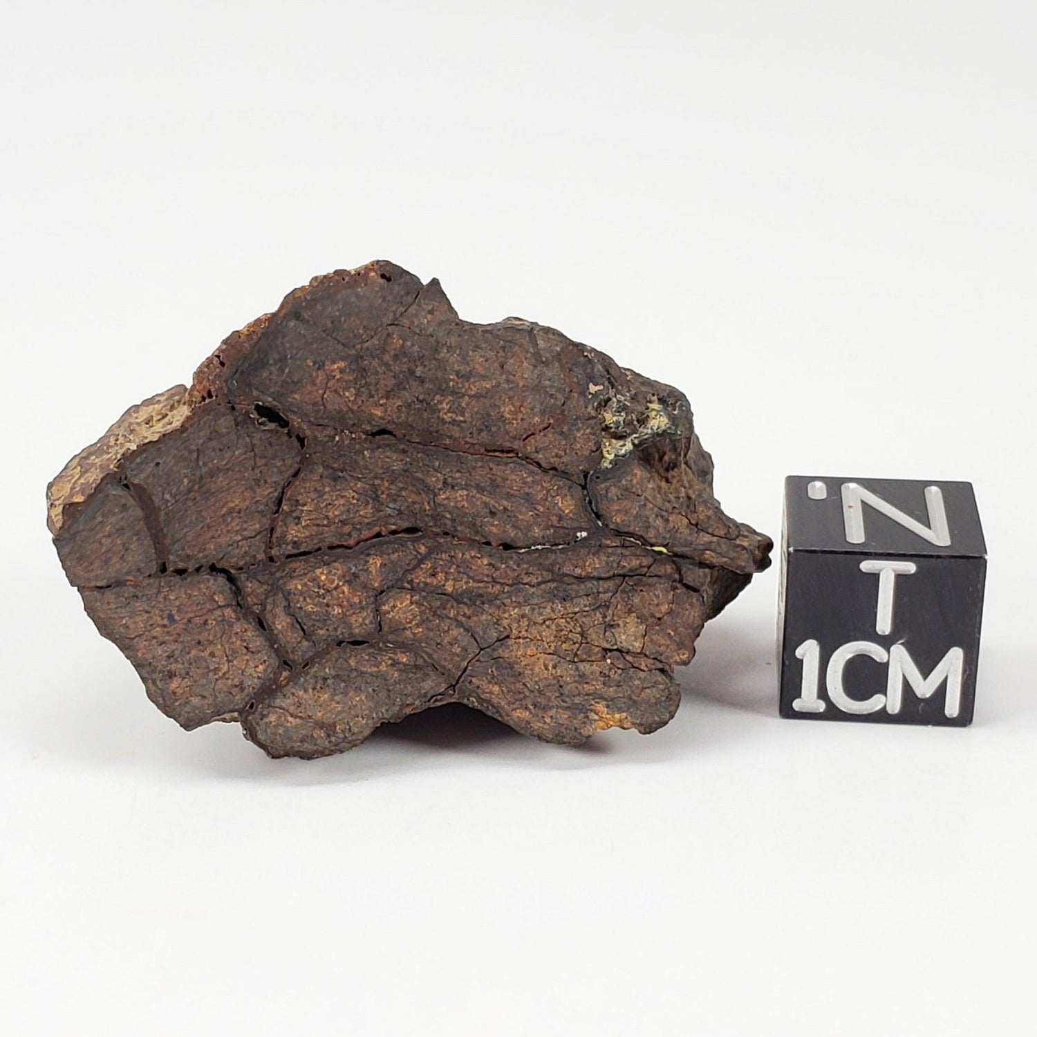  NWA 4295 Meteorite | 17.22 Grams | End Cut | EL-Melt Rock | Fossil Paleomet 