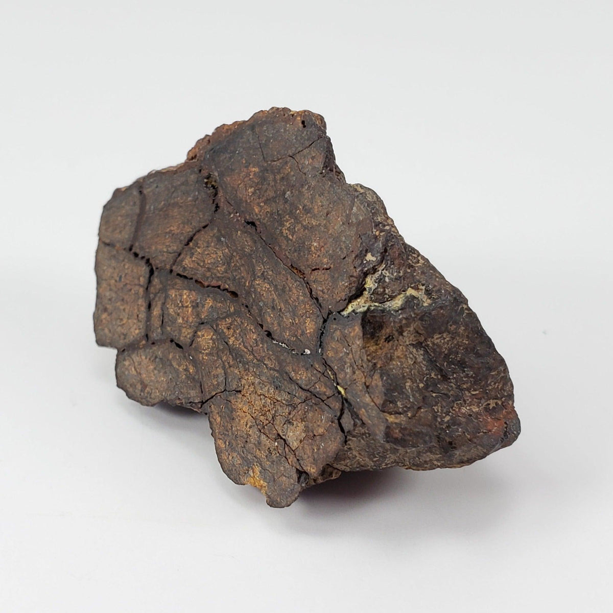  NWA 4295 Meteorite | 17.22 Grams | End Cut | EL-Melt Rock | Fossil Paleomet 1