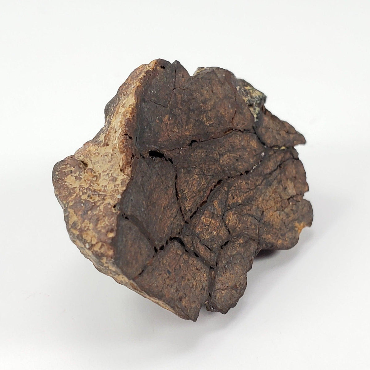  NWA 4295 Meteorite | 17.22 Grams | End Cut | EL-Melt Rock | Fossil Paleomet 2