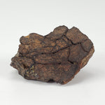  NWA 4295 Meteorite | 17.22 Grams | End Cut | EL-Melt Rock | Fossil Paleomet 3