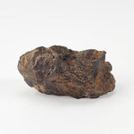  NWA 4295 Meteorite | 17.22 Grams | End Cut | EL-Melt Rock | Fossil Paleomet 4
