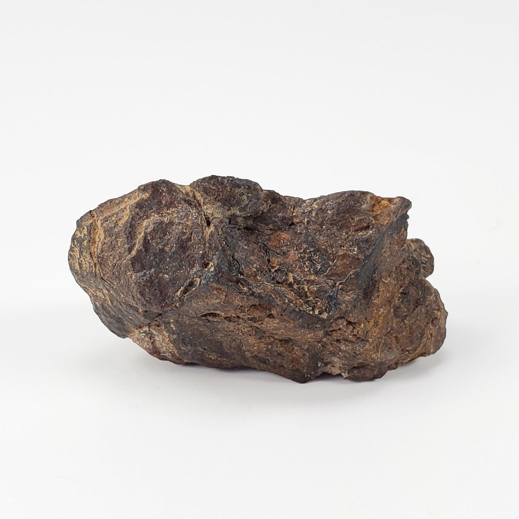  NWA 4295 Meteorite | 17.22 Grams | End Cut | EL-Melt Rock | Fossil Paleomet 4