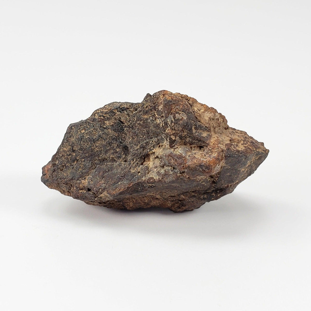  NWA 4295 Meteorite | 17.22 Grams | End Cut | EL-Melt Rock | Fossil Paleomet 5