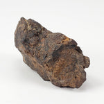  NWA 4295 Meteorite | 17.22 Grams | End Cut | EL-Melt Rock | Fossil Paleomet 7