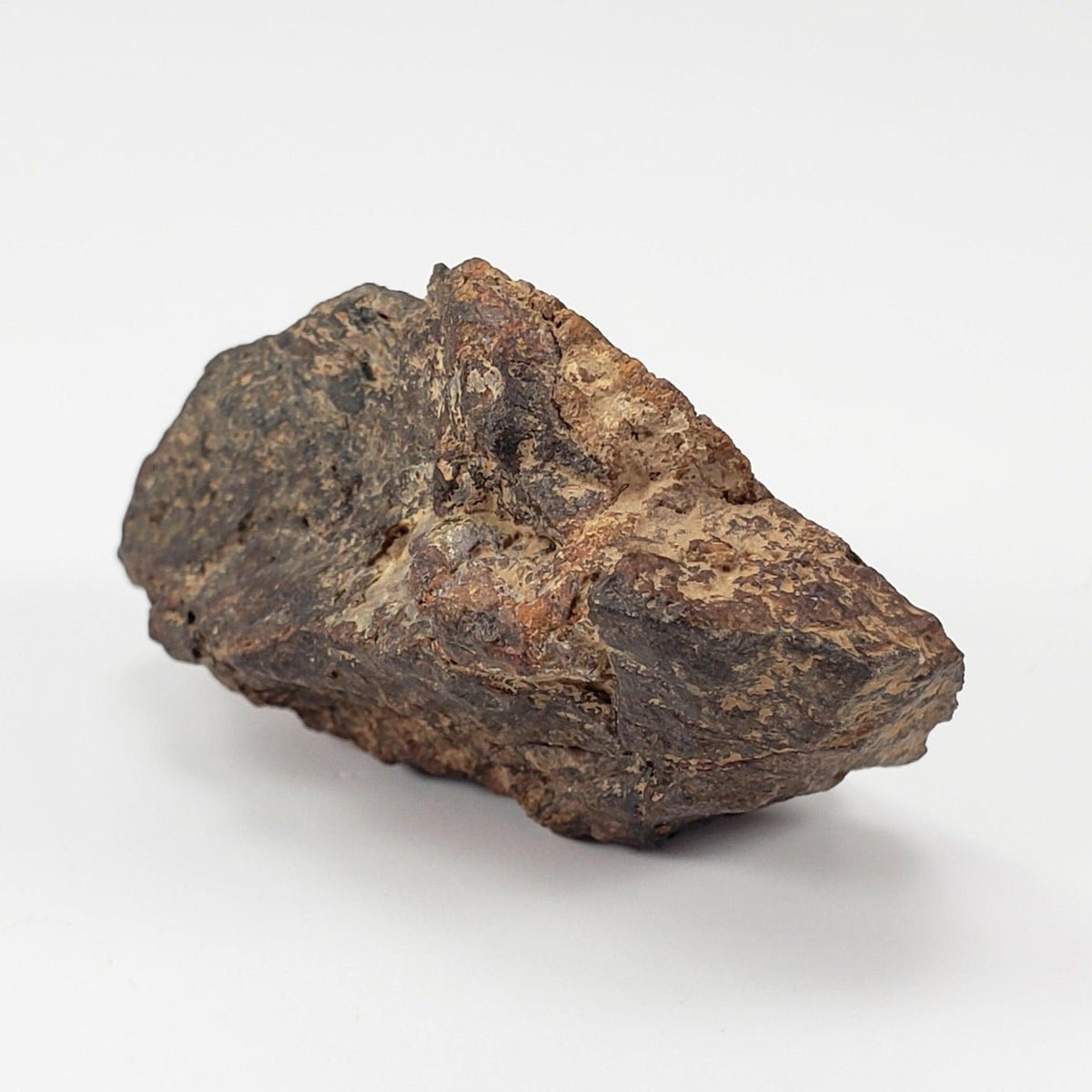  NWA 4295 Meteorite | 17.22 Grams | End Cut | EL-Melt Rock | Fossil Paleomet 8