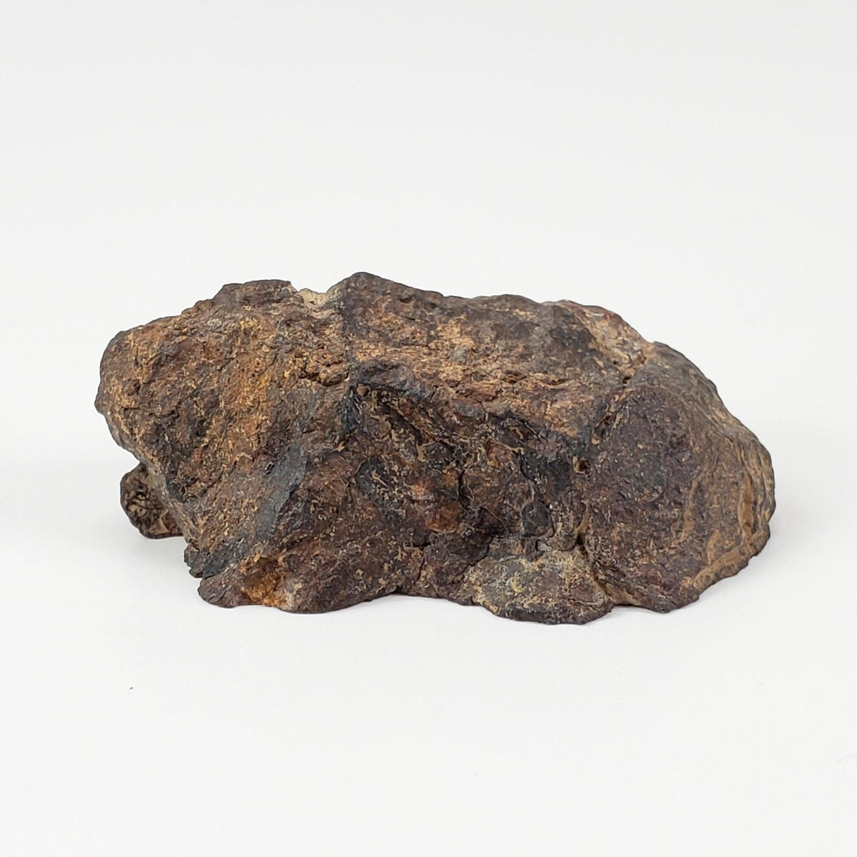  NWA 4295 Meteorite | 17.22 Grams | End Cut | EL-Melt Rock | Fossil Paleomet 9