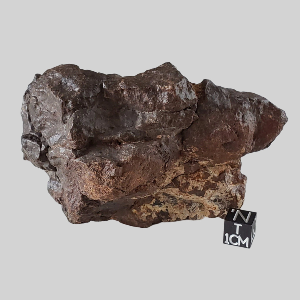  NWA 4528 Meteorite | 332.40 Gr | Individual Fragment | H5 Chondrite | Sahara Desert | SO24 