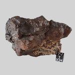  NWA 4528 Meteorite | 332.40 Gr | Individual Fragment | H5 Chondrite | Sahara Desert | SO24 