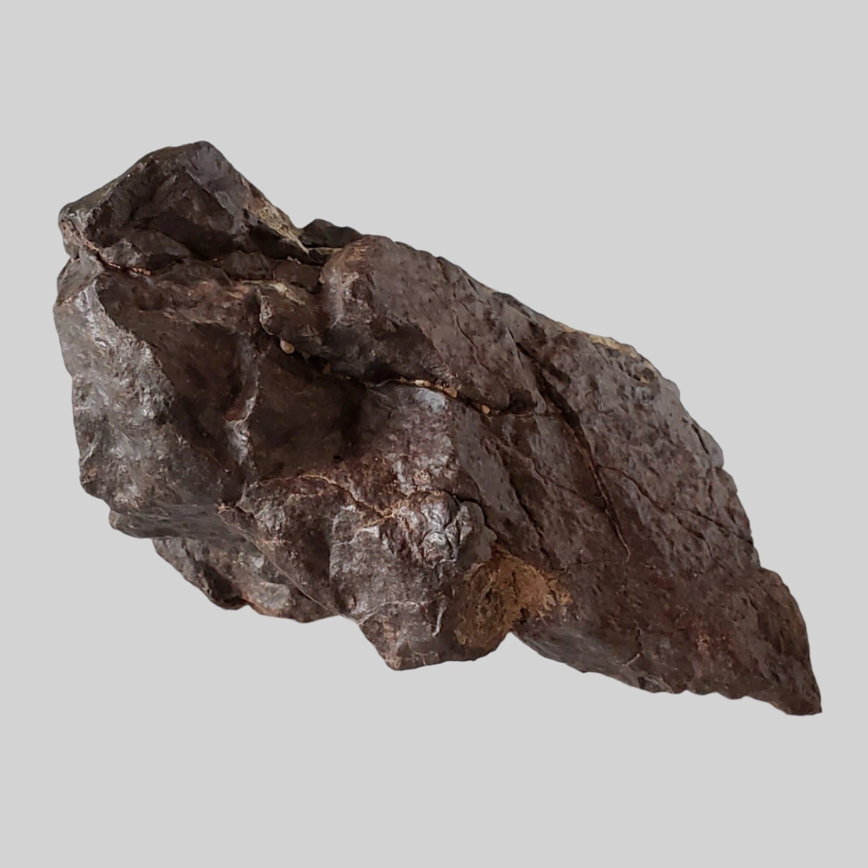  NWA 4528 Meteorite | 332.40 Gr | Individual Fragment | H5 Chondrite | Sahara Desert | SO24 1