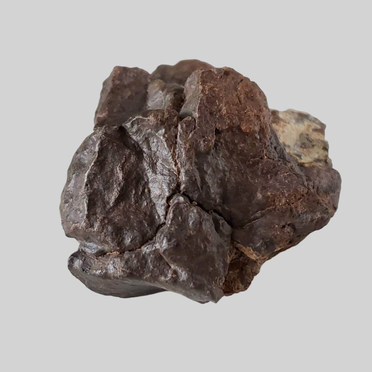  NWA 4528 Meteorite | 332.40 Gr | Individual Fragment | H5 Chondrite | Sahara Desert | SO24 3