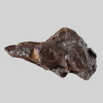  NWA 4528 Meteorite | 332.40 Gr | Individual Fragment | H5 Chondrite | Sahara Desert | SO24 4