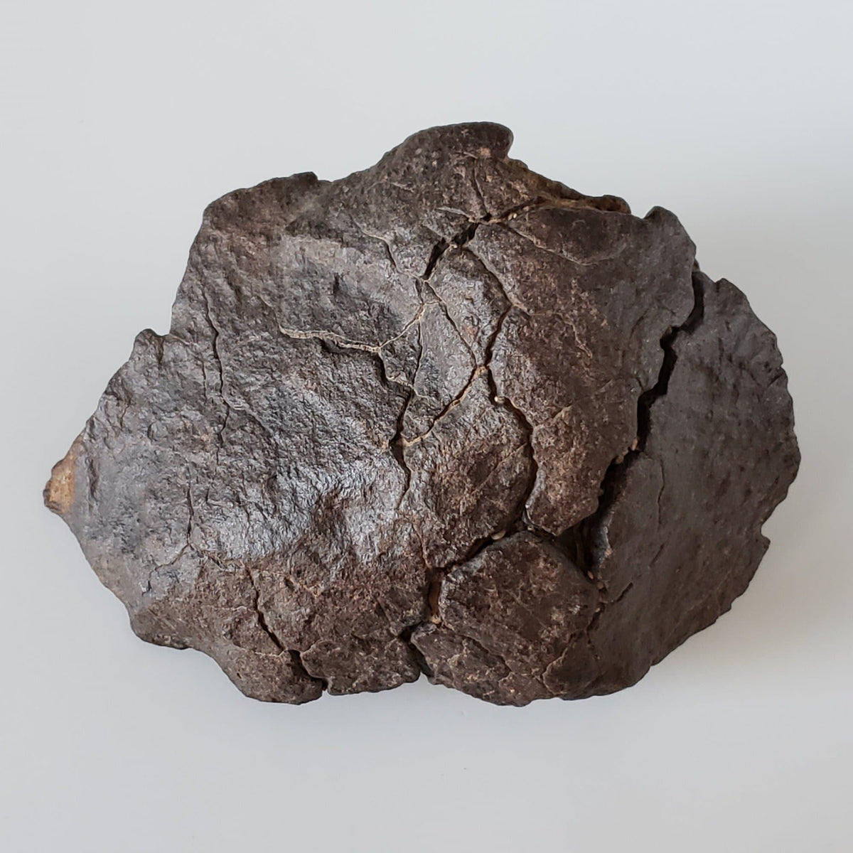  NWA 4528 Meteorite | 727 Gr | Individual Fragment | H5 Chondrite | Sahara Desert 1