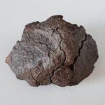  NWA 4528 Meteorite | 727 Gr | Individual Fragment | H5 Chondrite | Sahara Desert 1