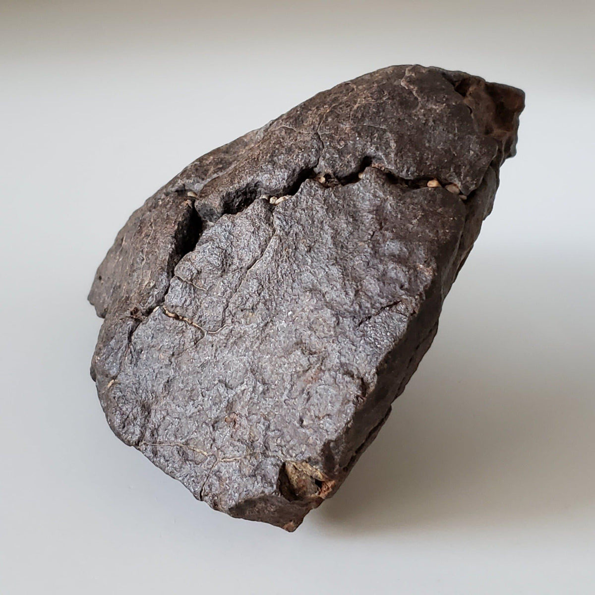  NWA 4528 Meteorite | 727 Gr | Individual Fragment | H5 Chondrite | Sahara Desert 2