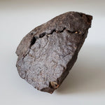  NWA 4528 Meteorite | 727 Gr | Individual Fragment | H5 Chondrite | Sahara Desert 2