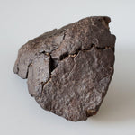  NWA 4528 Meteorite | 727 Gr | Individual Fragment | H5 Chondrite | Sahara Desert 3