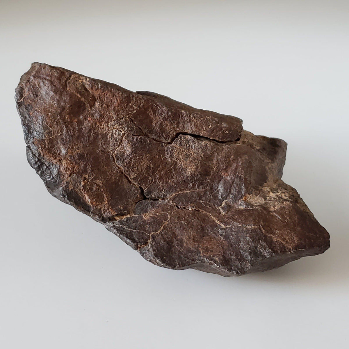  NWA 4528 Meteorite | 727 Gr | Individual Fragment | H5 Chondrite | Sahara Desert 5