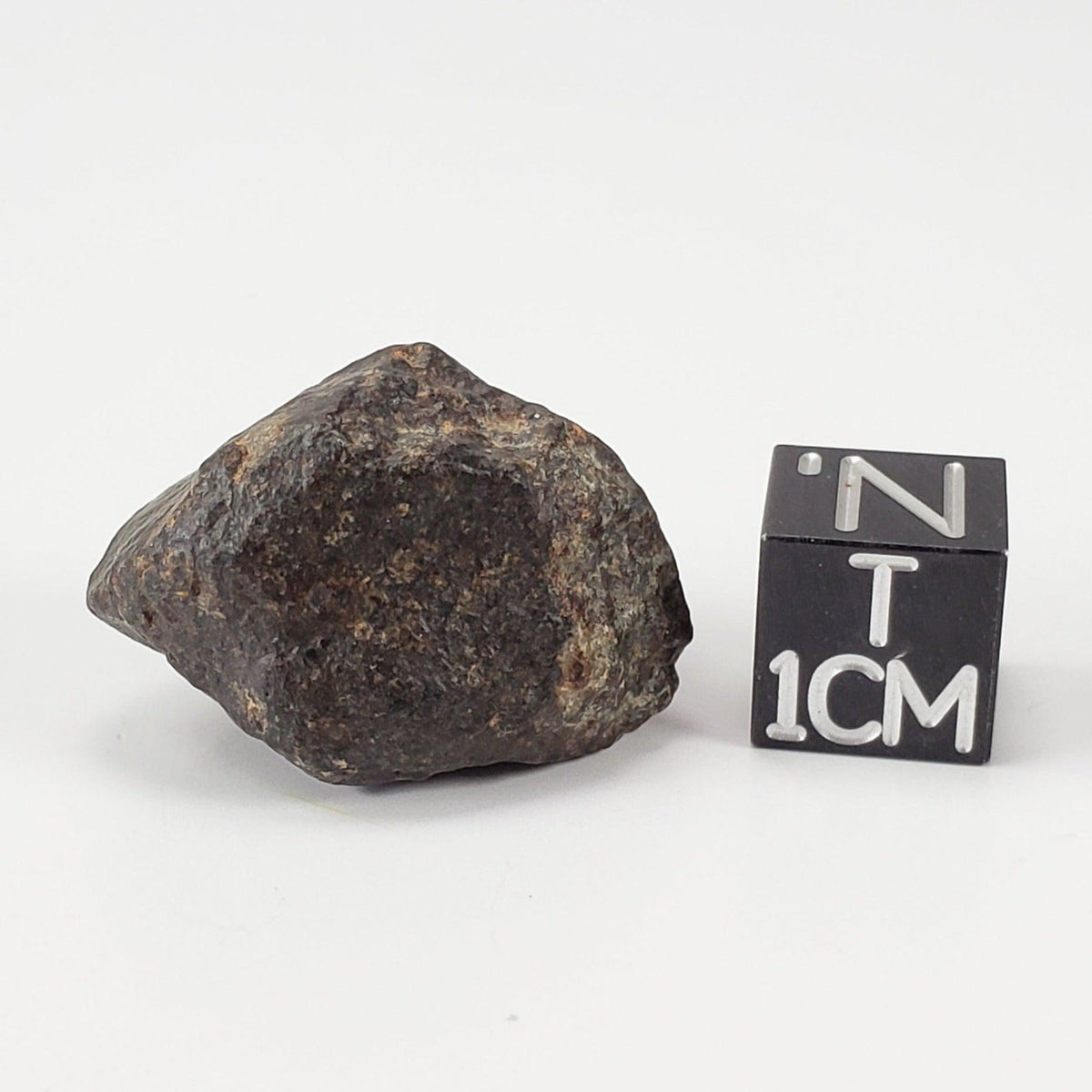  NWA 869 Meteorite | 10.59 Gr | Individual | L3-6 Chondrite | Crusted Specimen | SO24 