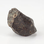  NWA 869 Meteorite | 10.59 Gr | Individual | L3-6 Chondrite | Crusted Specimen | SO24 1