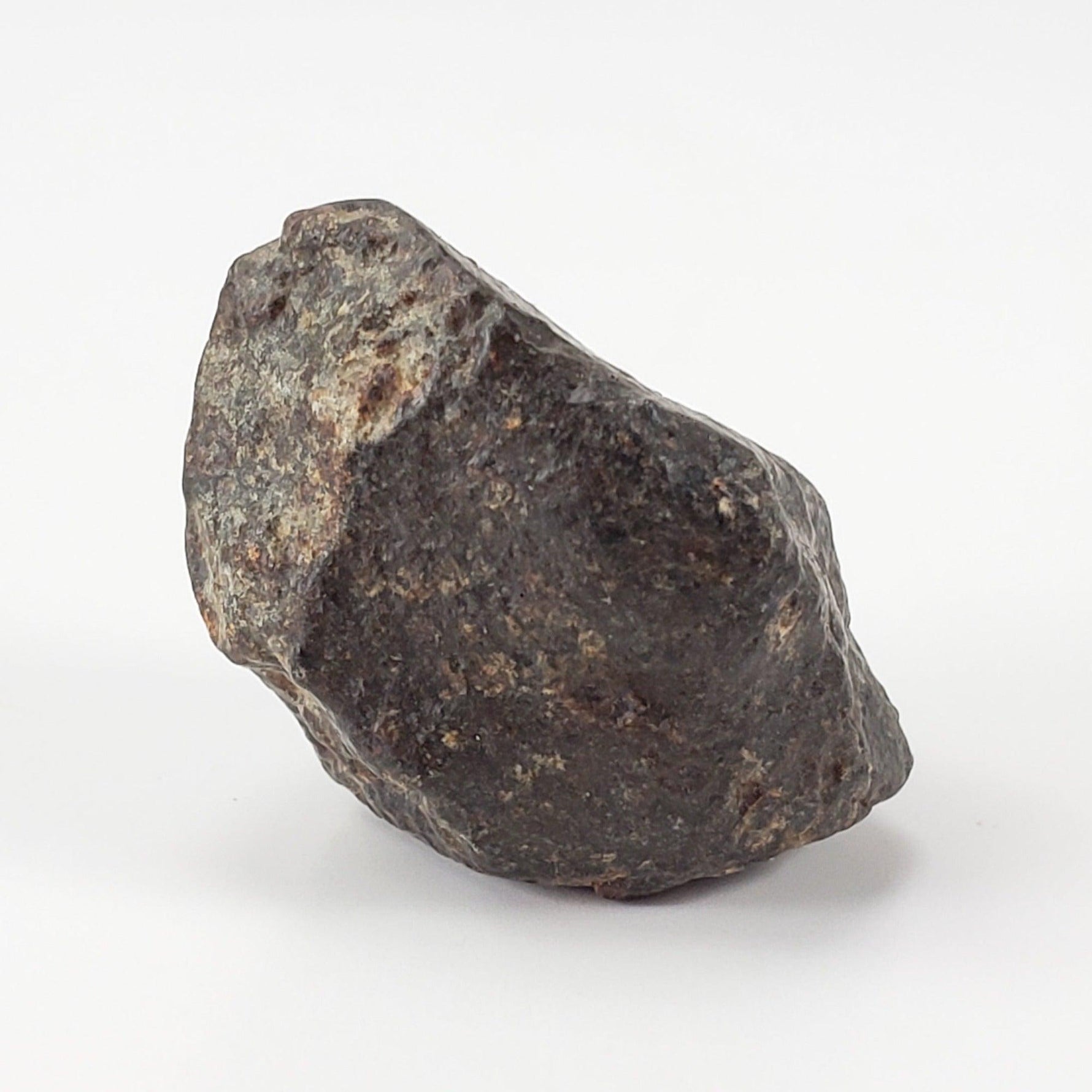  NWA 869 Meteorite | 10.59 Gr | Individual | L3-6 Chondrite | Crusted Specimen | SO24 1