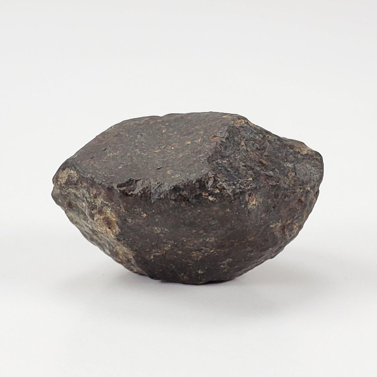  NWA 869 Meteorite | 10.59 Gr | Individual | L3-6 Chondrite | Crusted Specimen | SO24 2