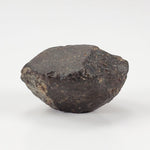  NWA 869 Meteorite | 10.59 Gr | Individual | L3-6 Chondrite | Crusted Specimen | SO24 2
