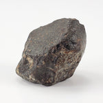  NWA 869 Meteorite | 10.59 Gr | Individual | L3-6 Chondrite | Crusted Specimen | SO24 4