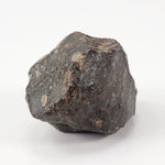  NWA 869 Meteorite | 10.59 Gr | Individual | L3-6 Chondrite | Crusted Specimen | SO24 6