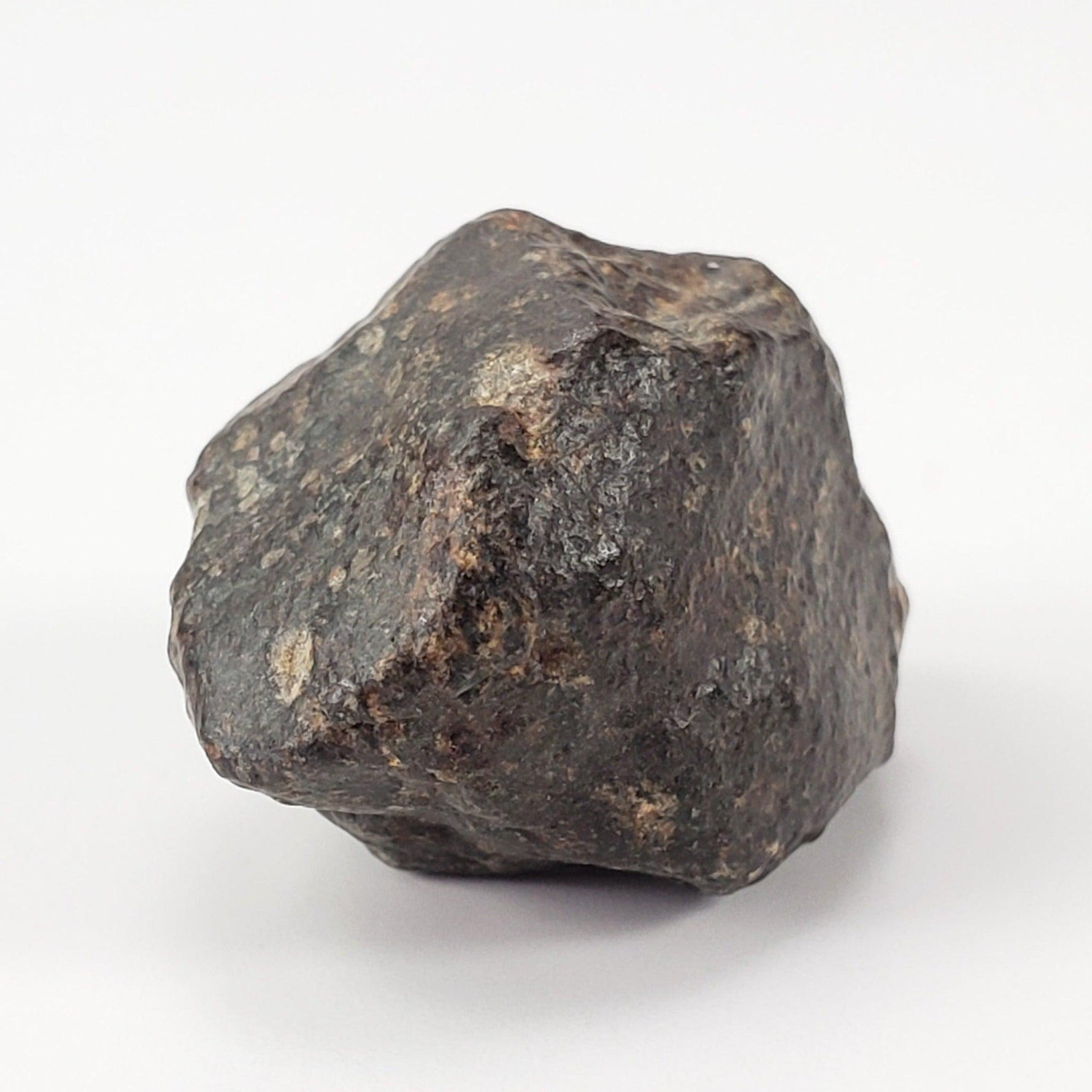  NWA 869 Meteorite | 10.59 Gr | Individual | L3-6 Chondrite | Crusted Specimen | SO24 6