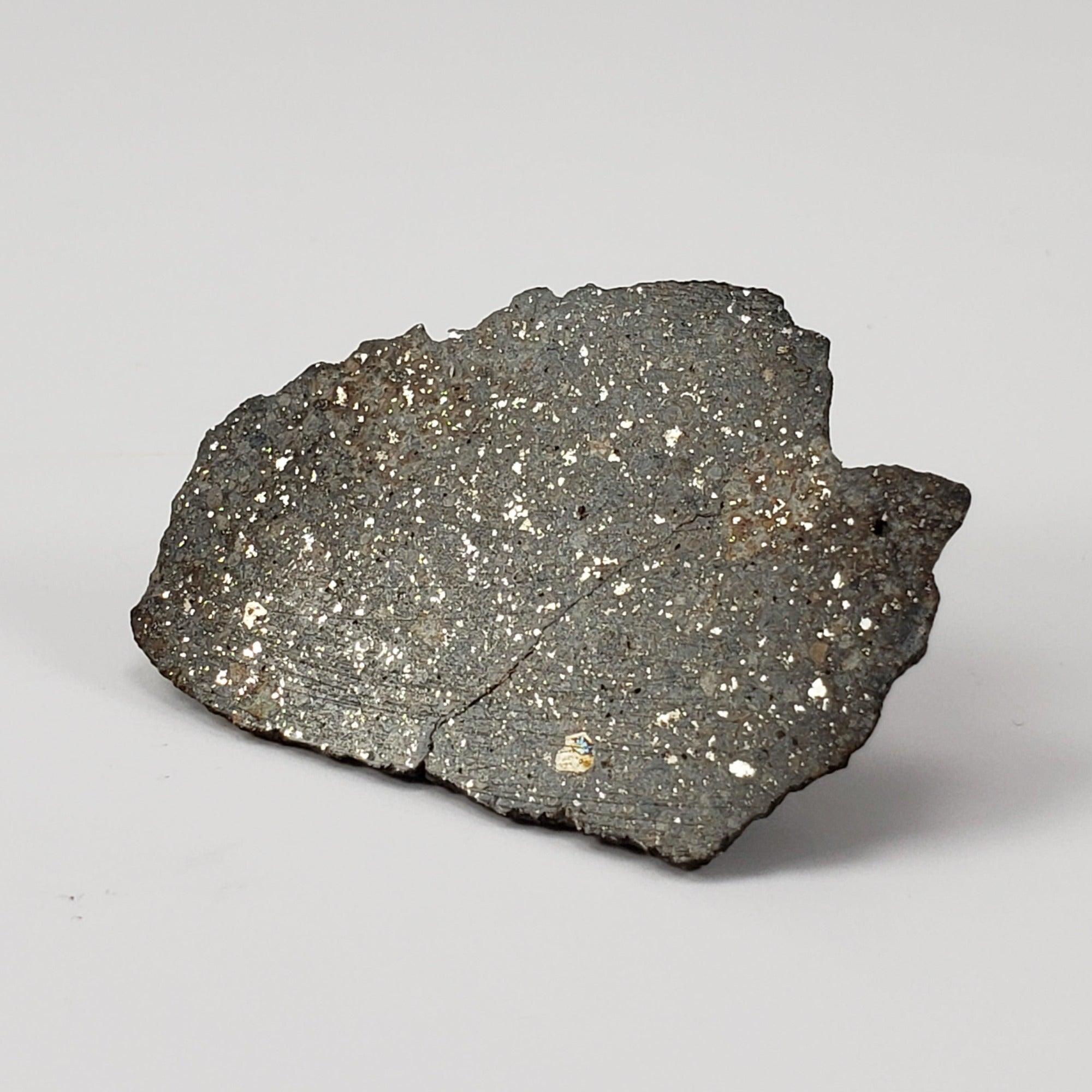 NWA 869 Meteorite | 14.82 Gr | End Cut | L3-6 Chondrite | Northwest Af