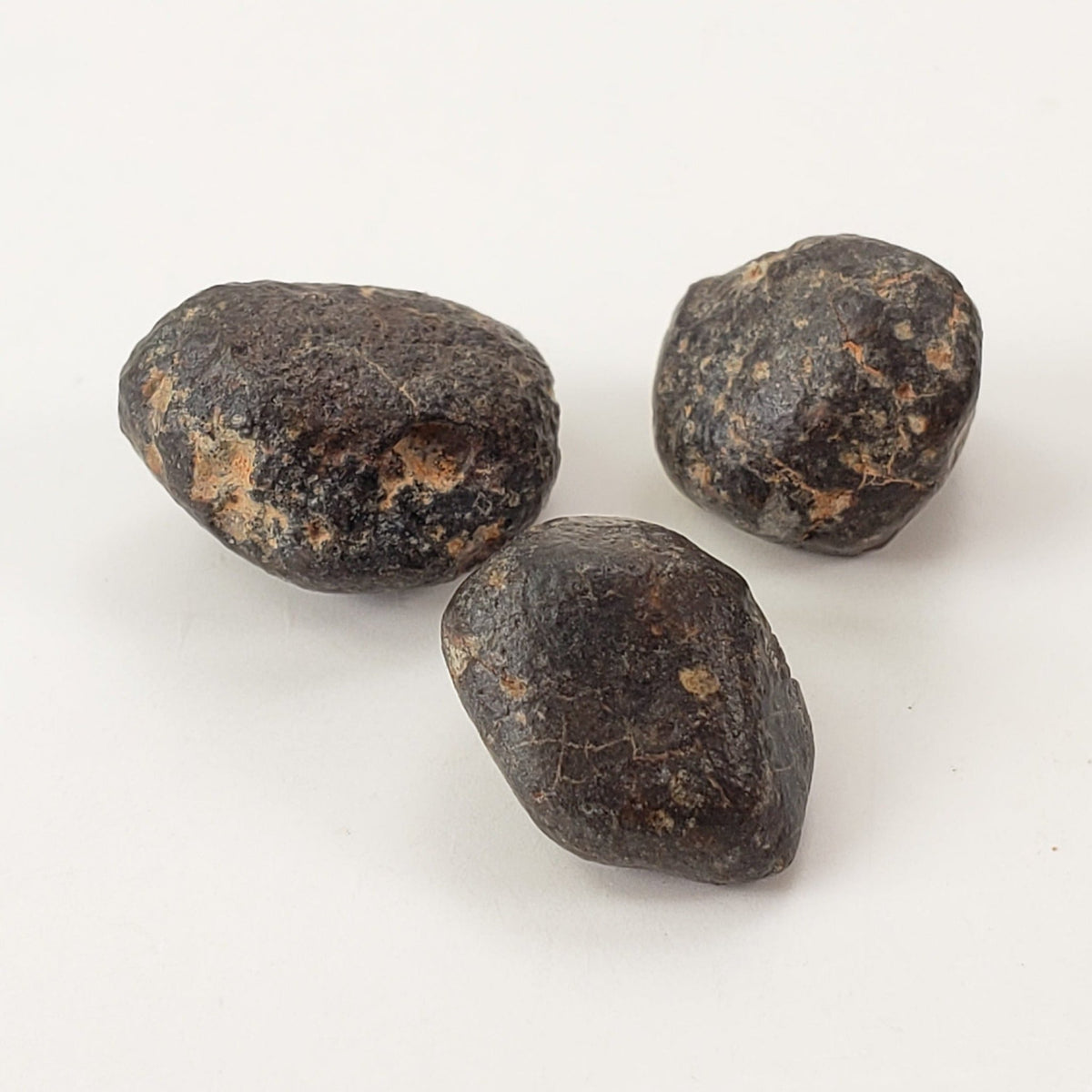  NWA 869 Meteorite | 3 Piece Lot | 5.42 Gr | Individual | L3-6 Chondrite | Crusted Specimen | SO24 2