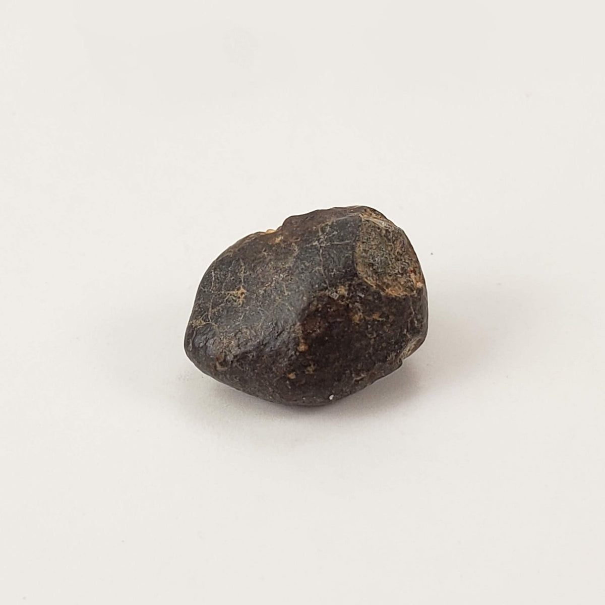  NWA 869 Meteorite | 3 Piece Lot | 5.42 Gr | Individual | L3-6 Chondrite | Crusted Specimen | SO24 4