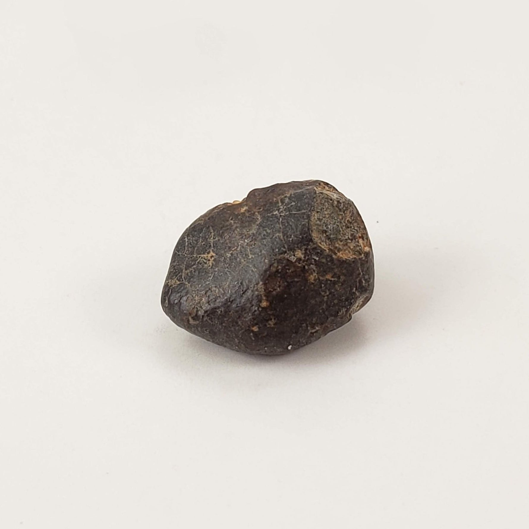  NWA 869 Meteorite | 3 Piece Lot | 5.42 Gr | Individual | L3-6 Chondrite | Crusted Specimen | SO24 4