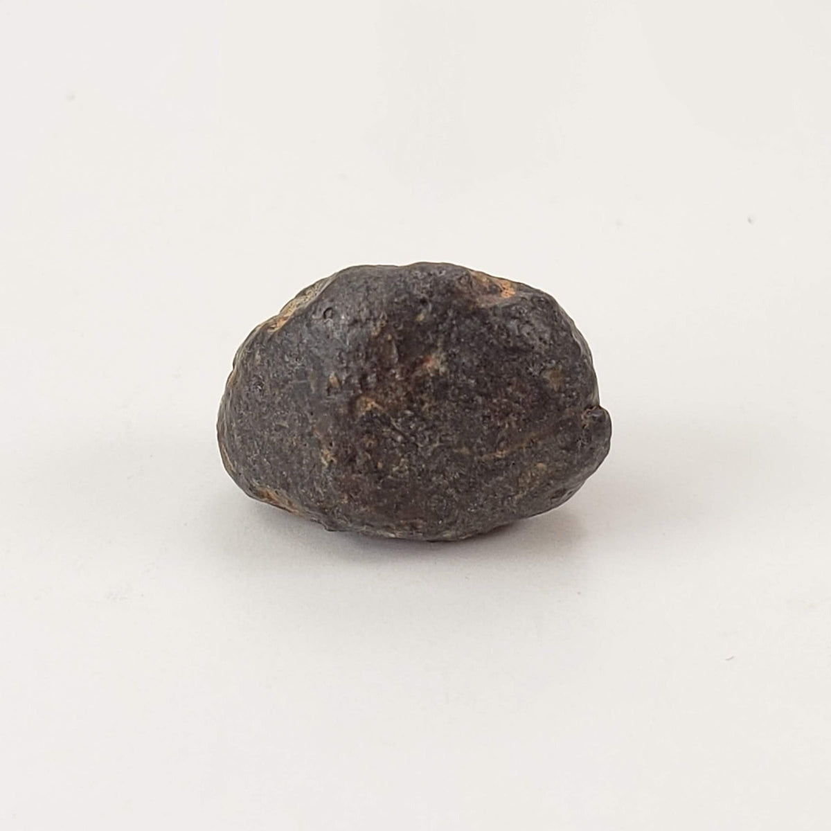 NWA 869 Meteorite | 3 Piece Lot | 5.42 Gr | Individual | L3-6 Chondrite | Crusted Specimen | SO24 7