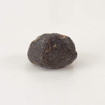  NWA 869 Meteorite | 3 Piece Lot | 5.42 Gr | Individual | L3-6 Chondrite | Crusted Specimen | SO24 7