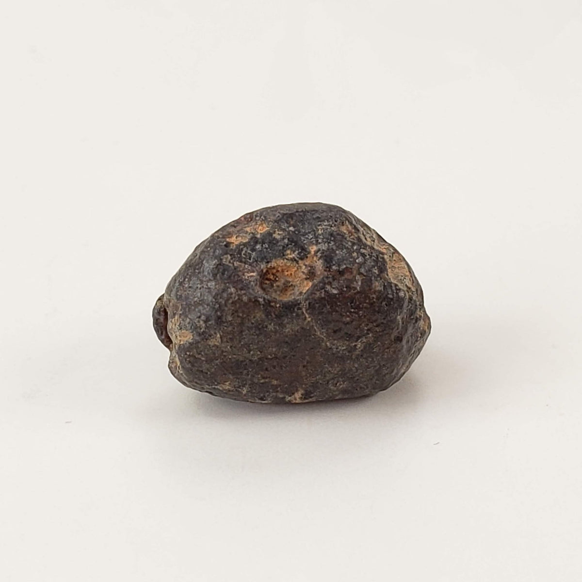  NWA 869 Meteorite | 3 Piece Lot | 5.42 Gr | Individual | L3-6 Chondrite | Crusted Specimen | SO24 8