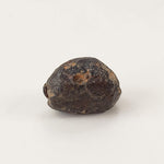  NWA 869 Meteorite | 3 Piece Lot | 5.42 Gr | Individual | L3-6 Chondrite | Crusted Specimen | SO24 8