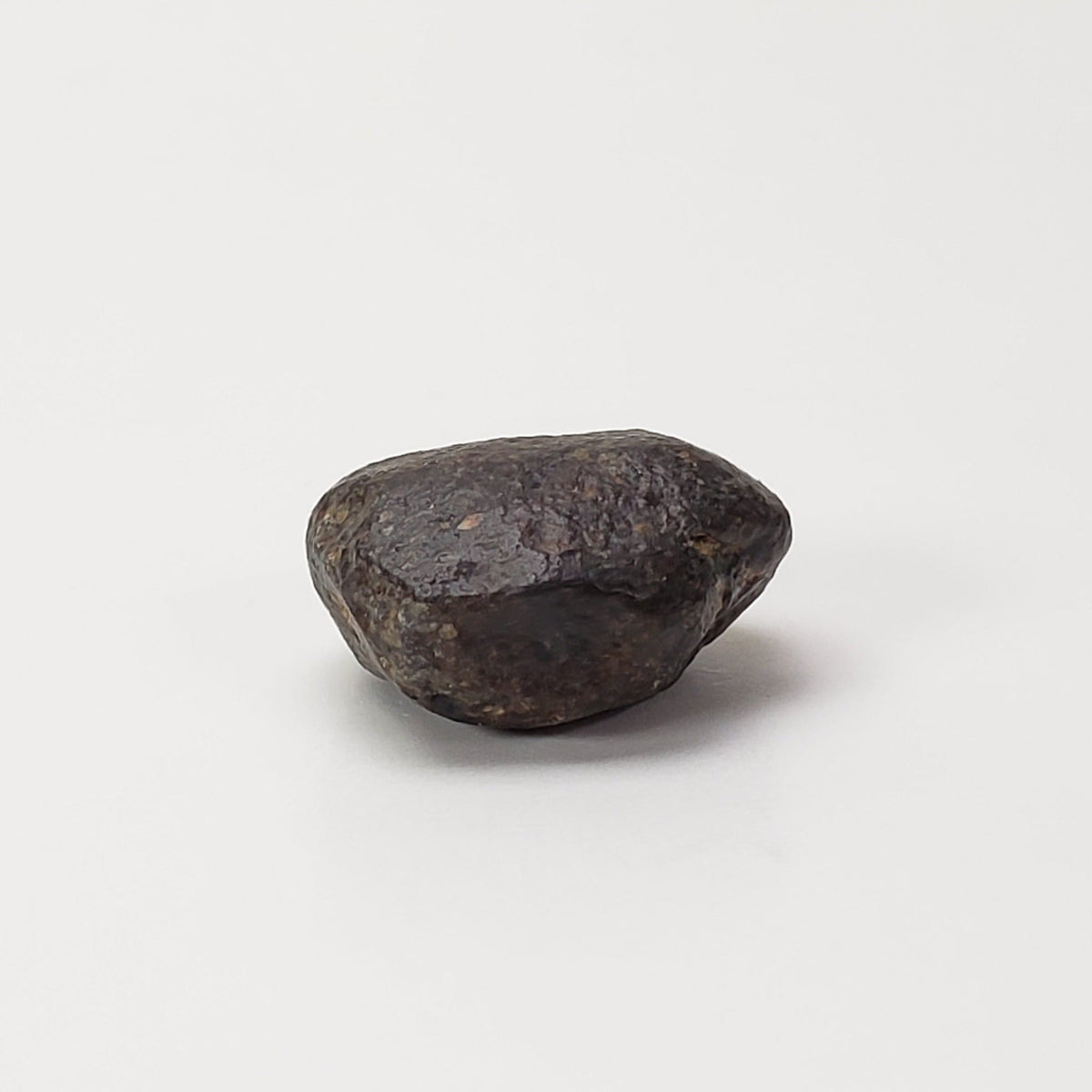  NWA 869 Meteorite | 4.78 Gr | Individual | L3-6 Chondrite | Crusted Specimen | SO24 2