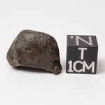  NWA 869 Meteorite | 4.85 Grams | Individual | L3-6 Chondrite | Crusted Specimen | SO24 