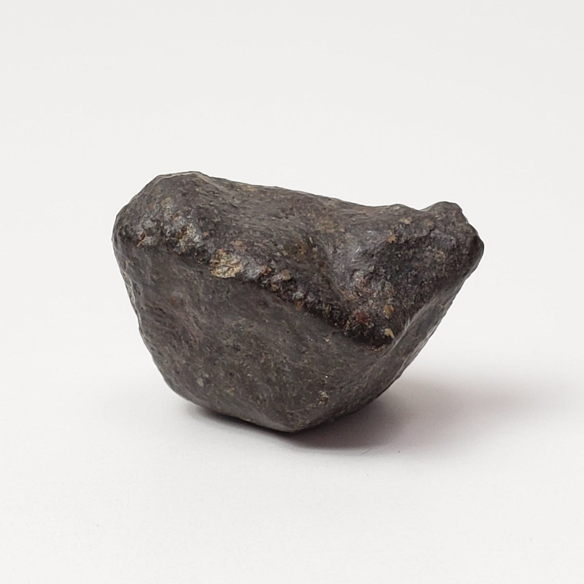  NWA 869 Meteorite | 4.85 Grams | Individual | L3-6 Chondrite | Crusted Specimen | SO24 2