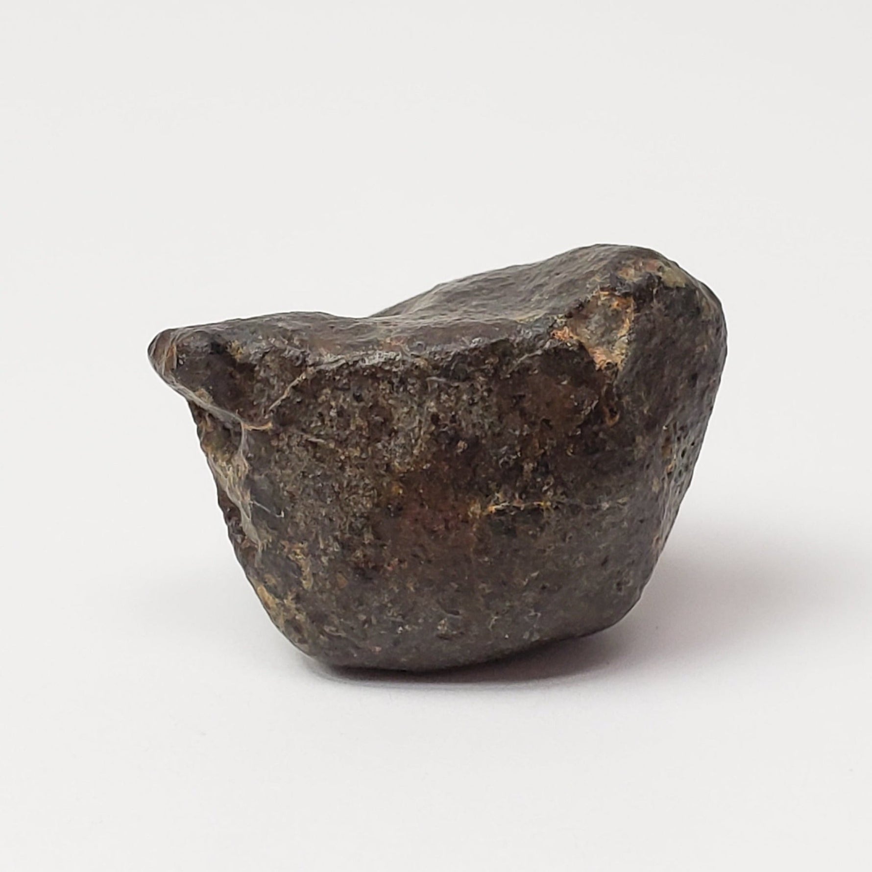  NWA 869 Meteorite | 4.85 Grams | Individual | L3-6 Chondrite | Crusted Specimen | SO24 3