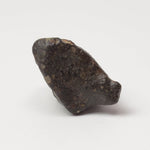  NWA 869 Meteorite | 4.85 Grams | Individual | L3-6 Chondrite | Crusted Specimen | SO24 6