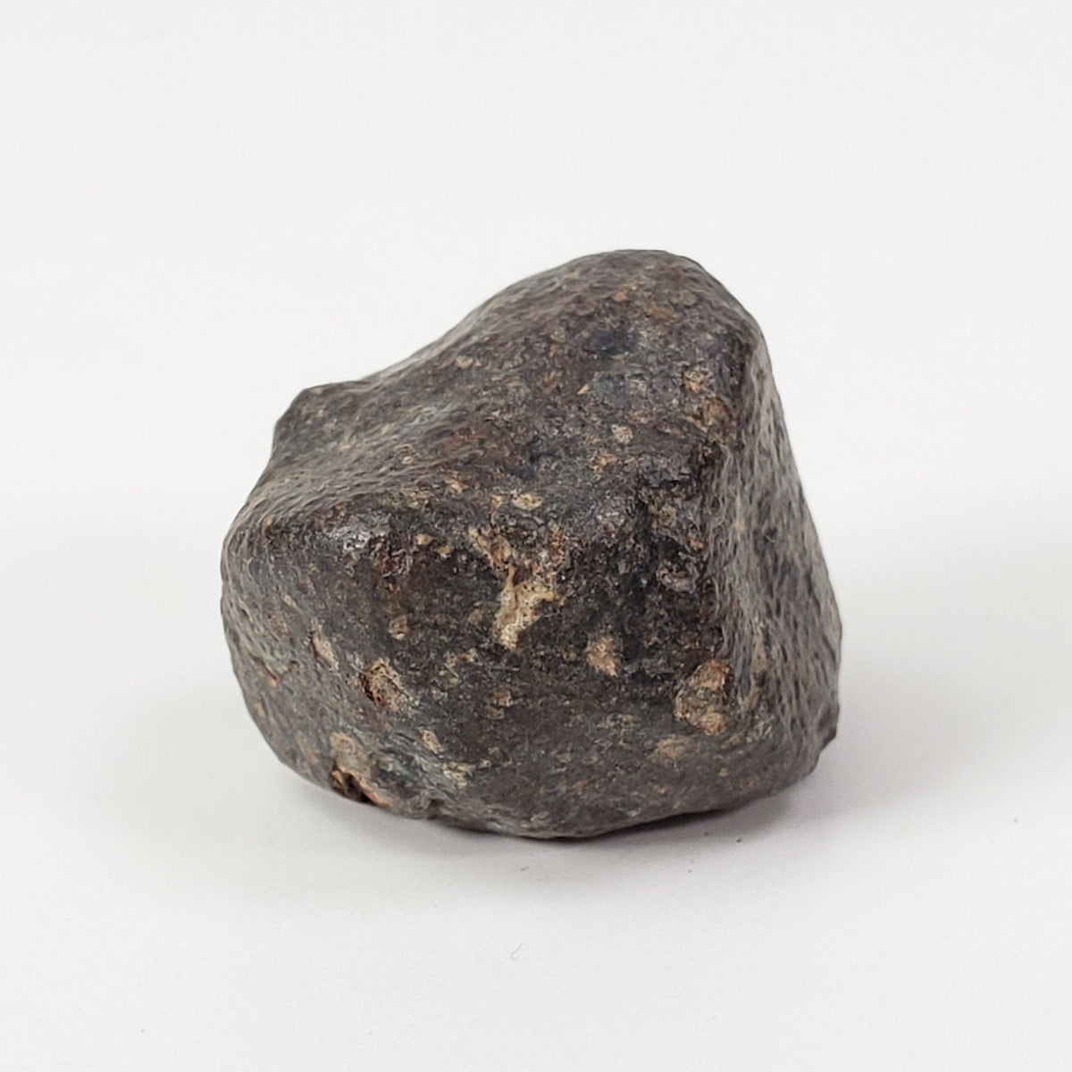  NWA 869 Meteorite | 5.9 Grams | Individual | L3-6 Chondrite | Crusted Specimen | SO24 1