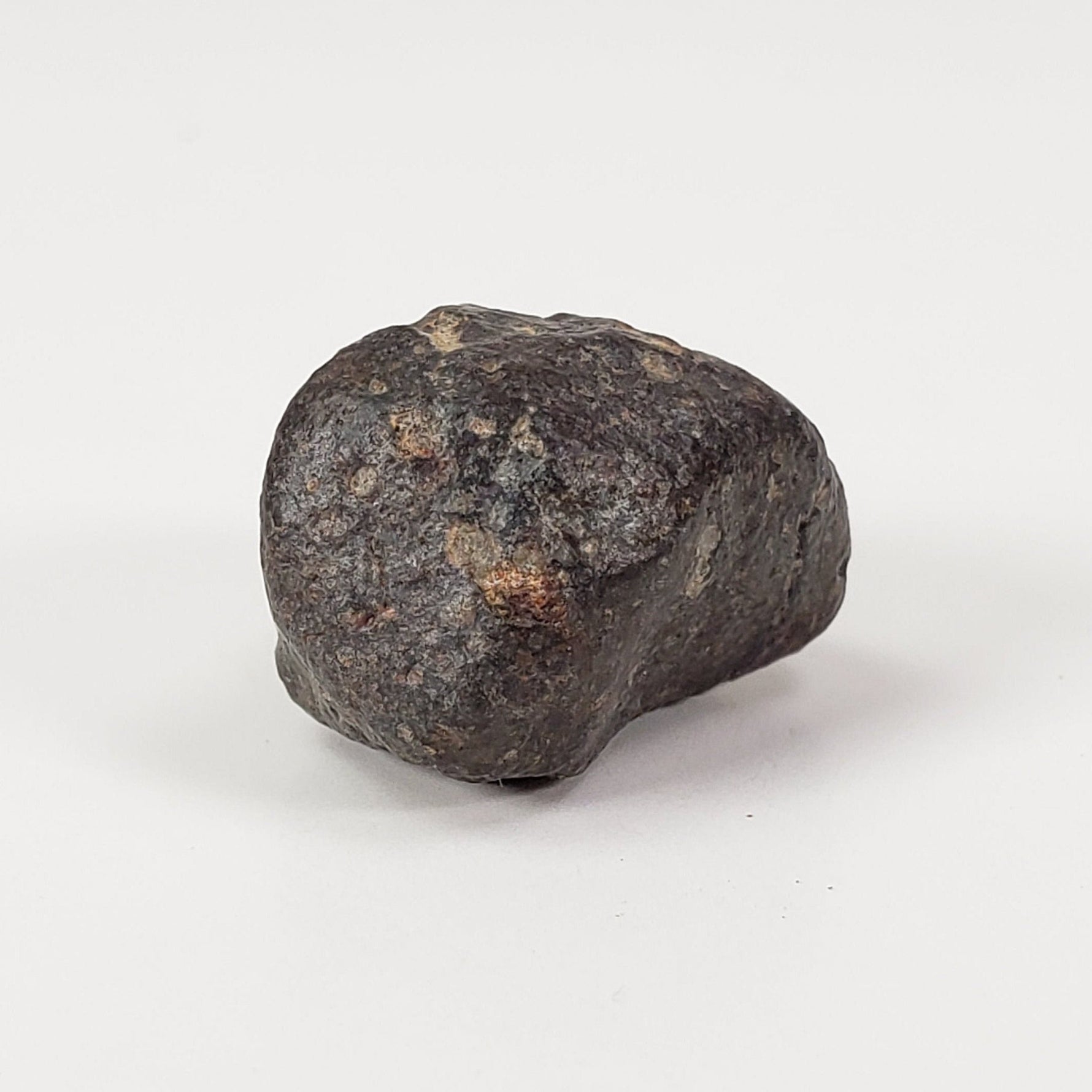  NWA 869 Meteorite | 5.9 Grams | Individual | L3-6 Chondrite | Crusted Specimen | SO24 2