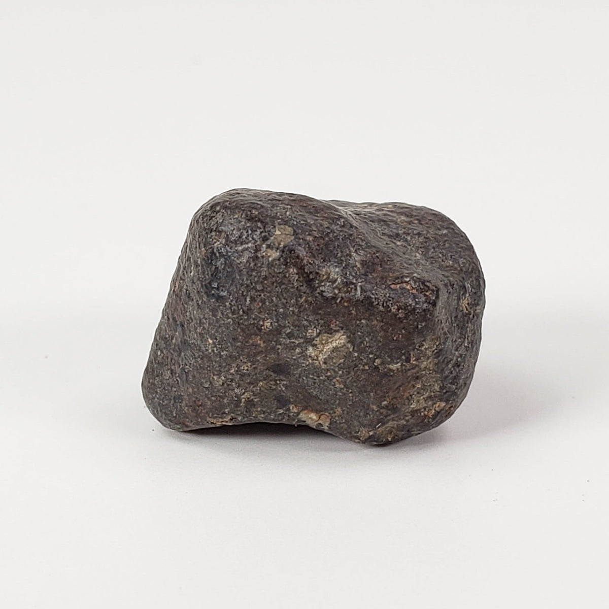  NWA 869 Meteorite | 5.9 Grams | Individual | L3-6 Chondrite | Crusted Specimen | SO24 3