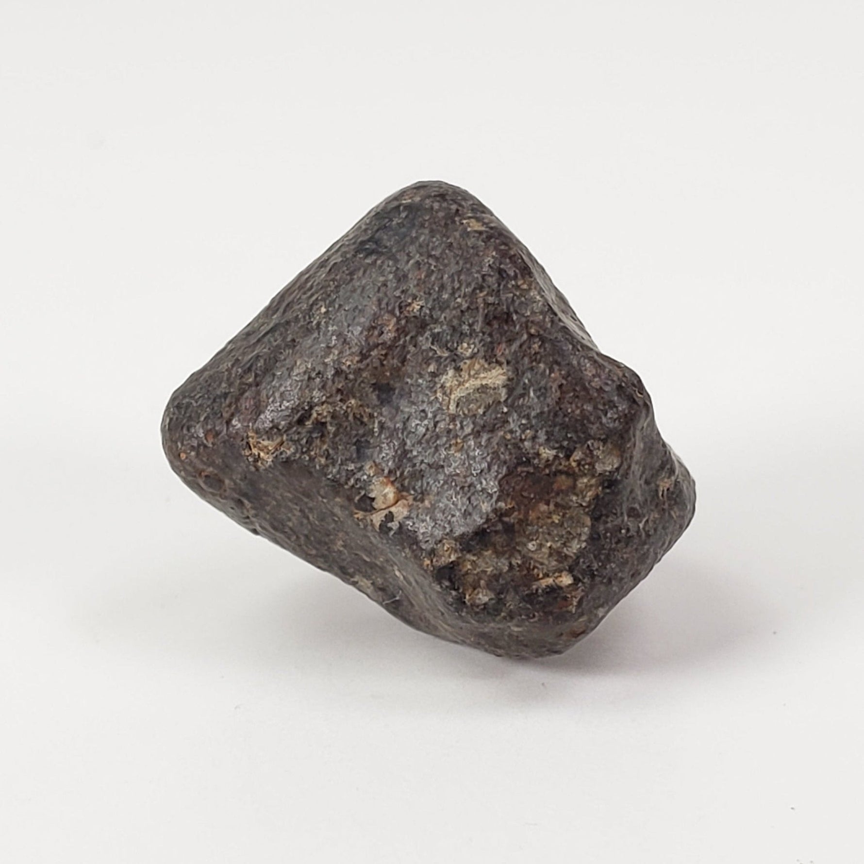  NWA 869 Meteorite | 5.9 Grams | Individual | L3-6 Chondrite | Crusted Specimen | SO24 4