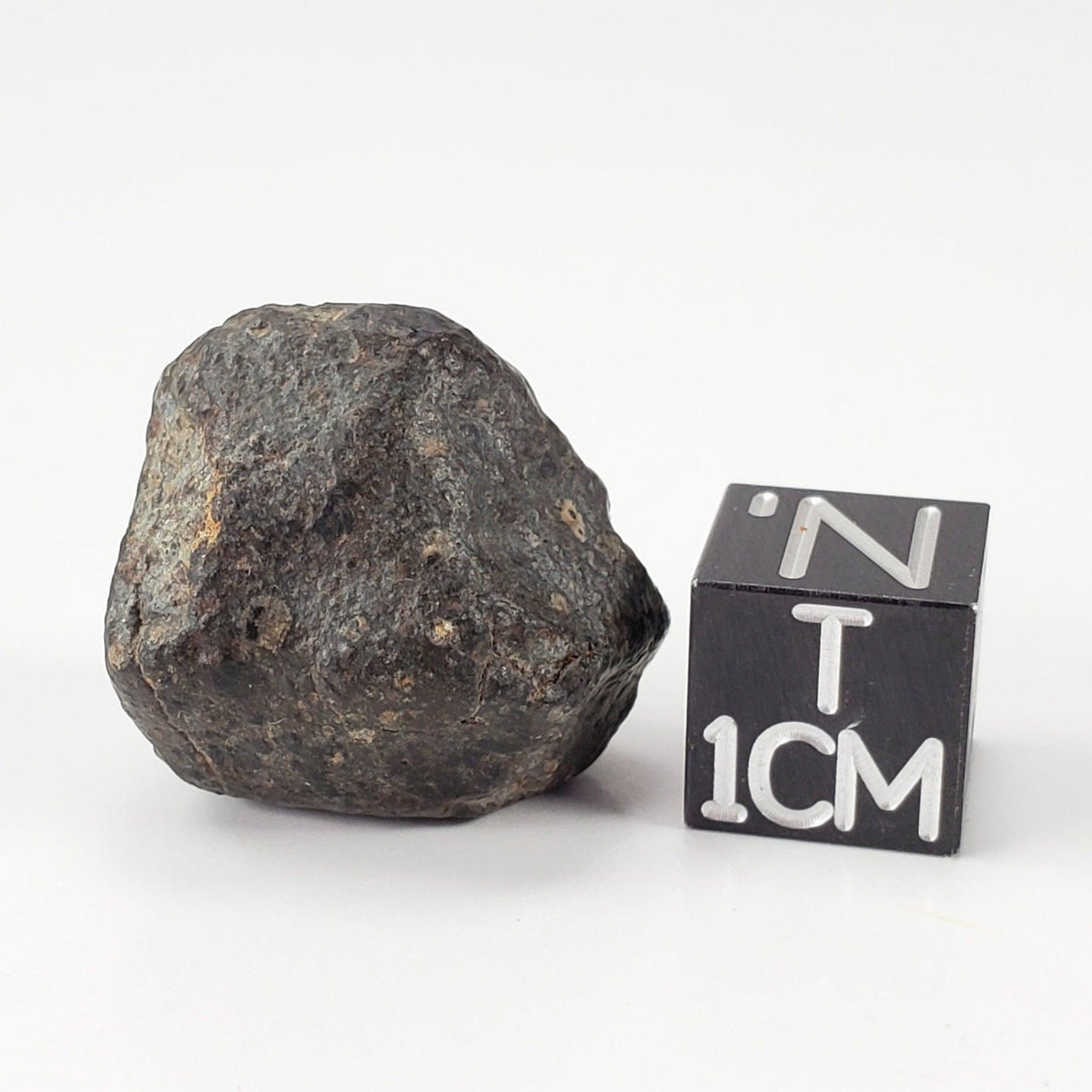  NWA 869 Meteorite | 9.56 Grams | Individual | L3-6 Chondrite | Crusted Specimen 