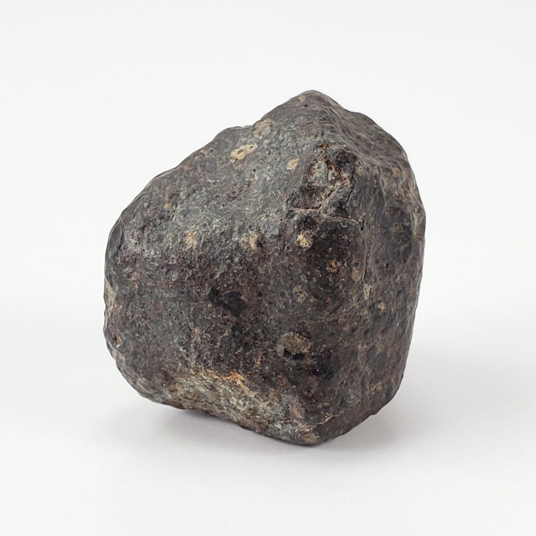  NWA 869 Meteorite | 9.56 Grams | Individual | L3-6 Chondrite | Crusted Specimen 1