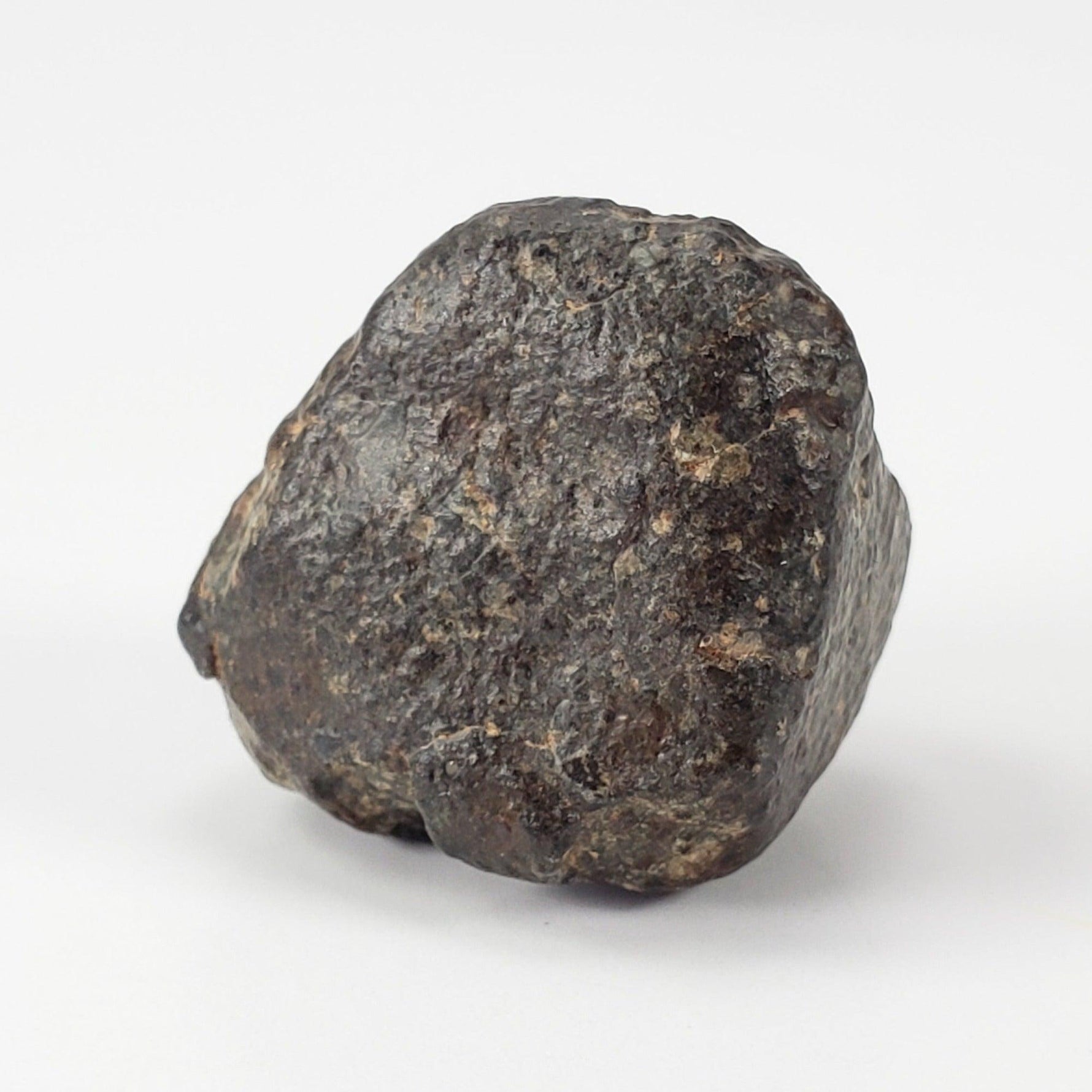  NWA 869 Meteorite | 9.56 Grams | Individual | L3-6 Chondrite | Crusted Specimen 3